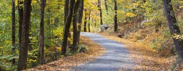 fall drives