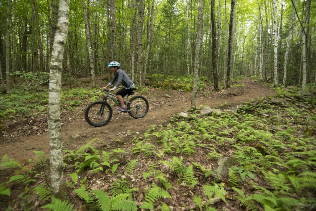 big white mountain biking