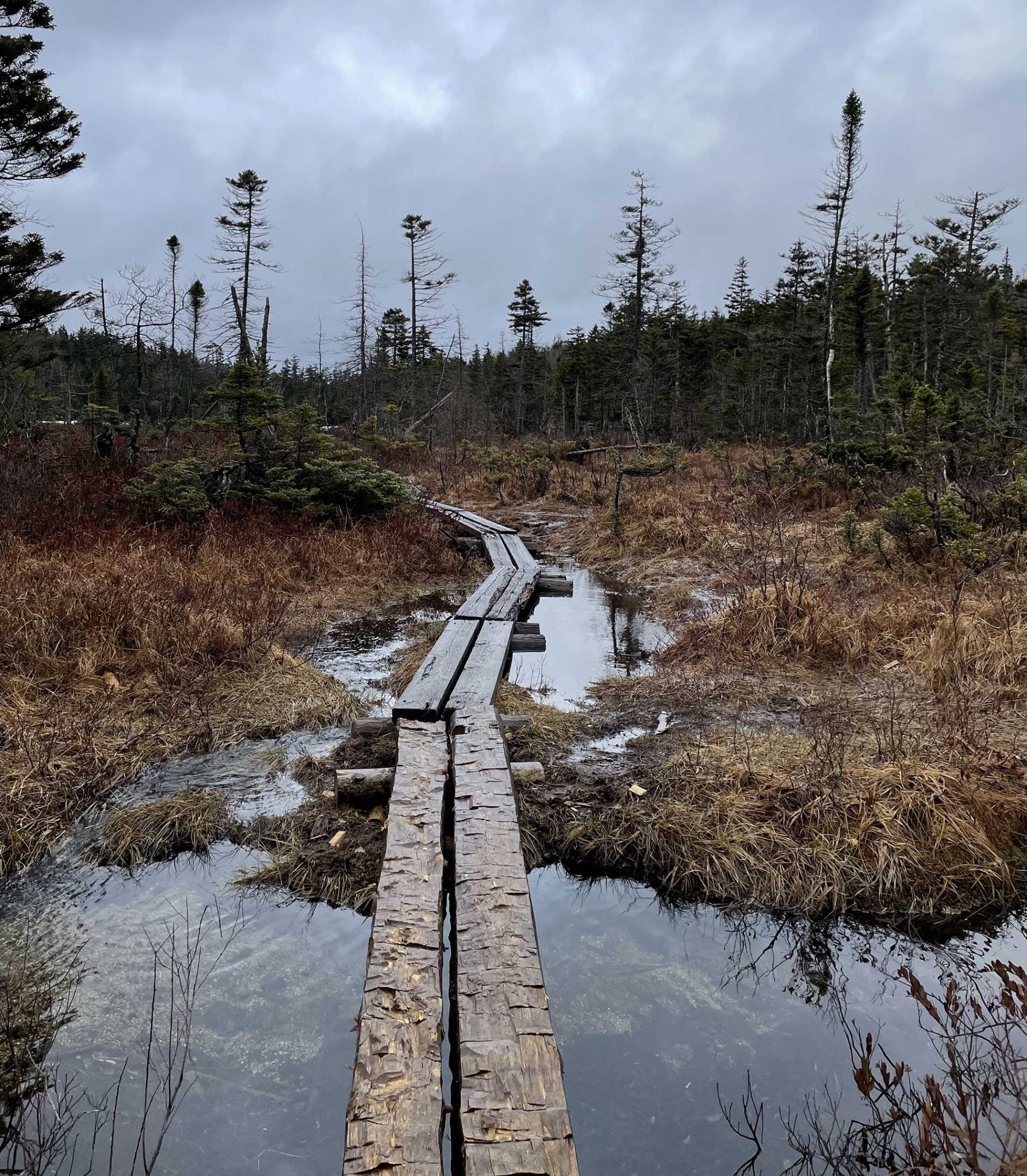 Scenic New Hampshire Hike Safe, Leave No Trace